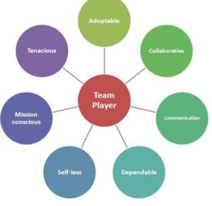 What Are the Traits of a Team Player?